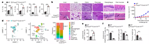 Nautre:全基因組篩選構建mTORC1調控網路的營養調控訊號樞紐 Nautre:全基因組篩選構建mTORC1調控網路的營養調控訊號樞紐