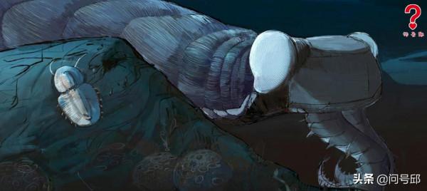 寒武紀生命大爆發有何依據？5.4億年前是節肢動物的繁盛時期