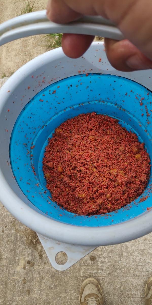 「十週年」1.2的子線硬上米級鯰魚，爆竿了也要拿下