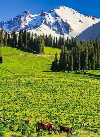 新疆美景，恍若仙境