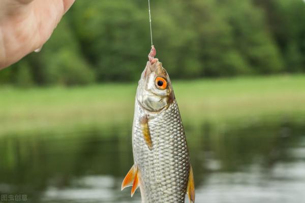 新手釣友如何入門(縱橫江湖 新手釣友如何入門(縱橫江湖