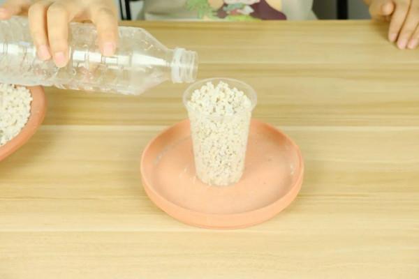 6種花別養老樁,越老越不開花,趕緊扦插備份 6種花別養老樁,越老越不開花,趕緊扦插備份