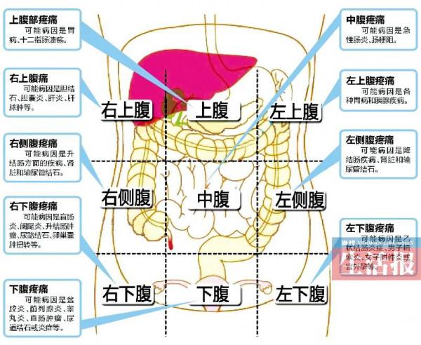 服用千億益生菌還是拉不出 失眠焦慮頭痛困擾姐姐 如何順利突圍