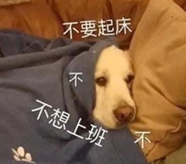 開工啦！精神不佳睡眠差？做到這幾點，遠離&OpenCurlyDoubleQuote;春節綜合徵&rdquo;
