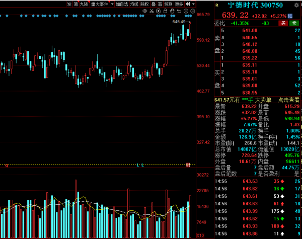 寧德時代與隆基股份為何大漲? 寧德時代與隆基股份為何大漲?