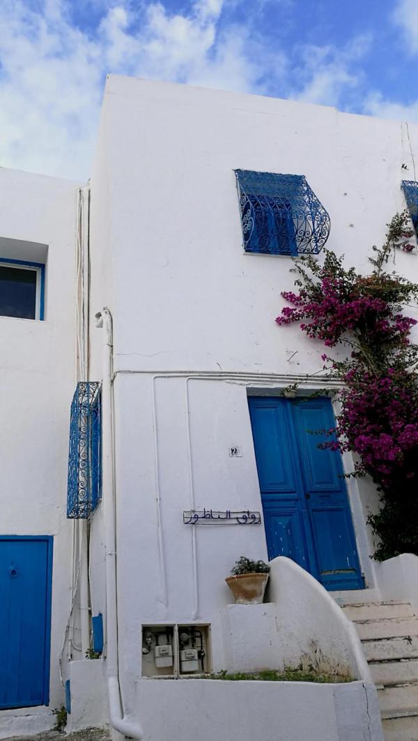 世界那麼大，我想去看看---突尼西亞篇