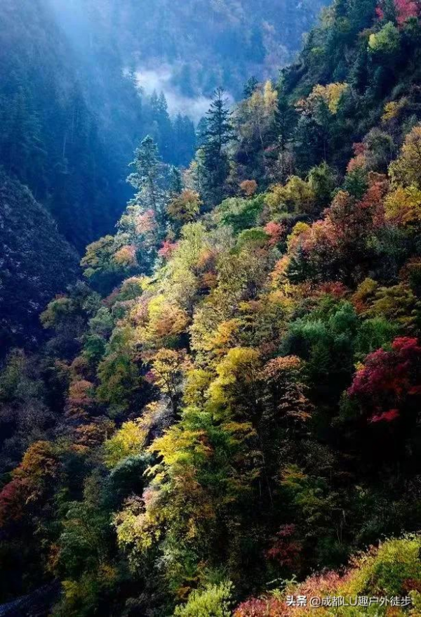 黑水秘境,感受奶子溝八十里彩林畫廊 黑水秘境,感受奶子溝八十里彩林畫廊