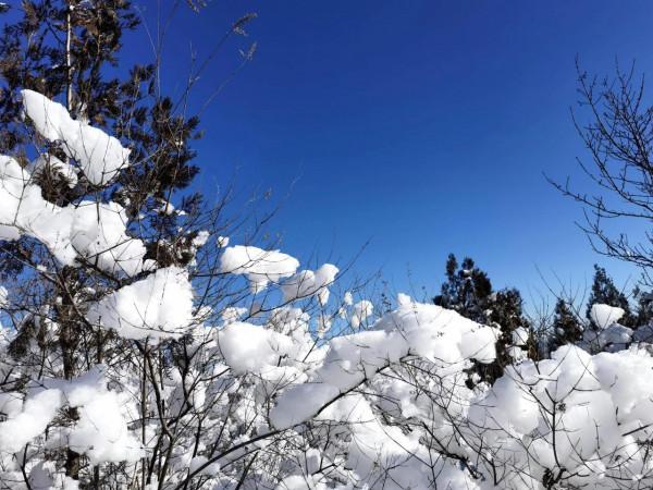 佛教聖地_雲巖聖境