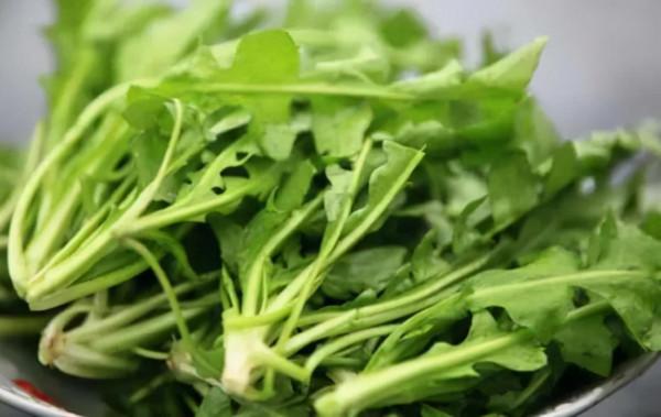 高力士：千古賢宦第一人