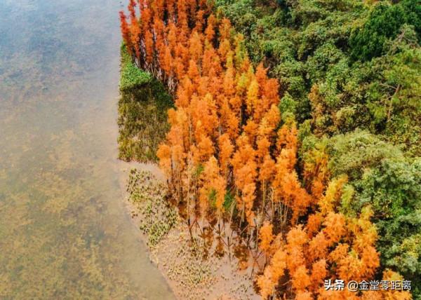 金堂“光霧山”!私藏在這處公園裡的冬日幻境 金堂“光霧山”!私藏在這處公園裡的冬日幻境