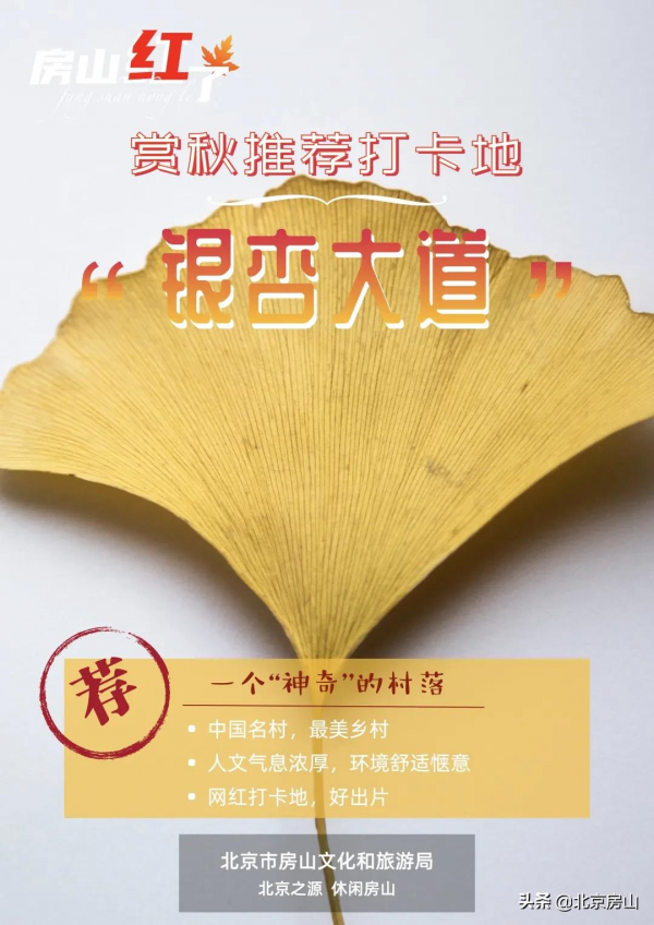 秋意濃,房山紅 !千年遺蹟、稻田荷花…第4波秋景等你去賞閱! 秋意濃,房山紅 !千年遺蹟、稻田荷花…第4波秋景等你去賞閱!