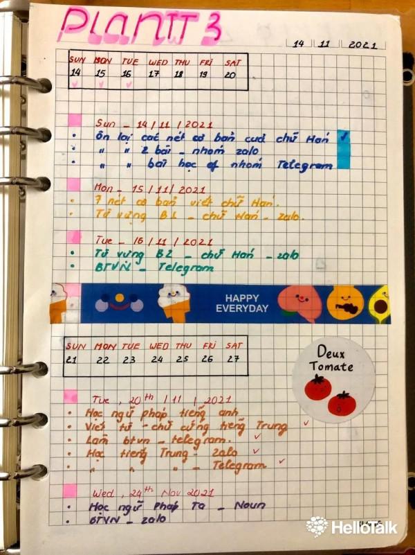 向越南學習，加強書法教育