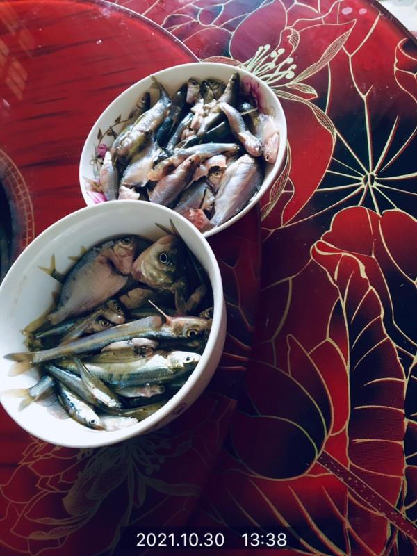 水深一兩尺,打窩十來斤,野河來了無數釣友有趣垂釣 水深一兩尺,打窩十來斤,野河來了無數釣友有趣垂釣