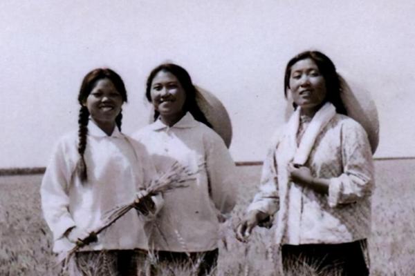 1982年,女子挖出2噸銀元主動上交國家,她後來過得怎樣? 1982年,女子挖出2噸銀元主動上交國家,她後來過得怎樣?