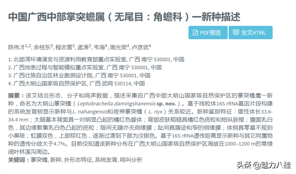 廣西大明山保護區發現兩棲動物新種——大明山掌突蟾