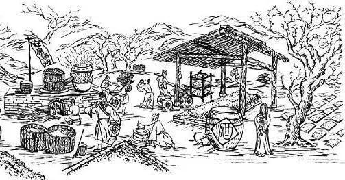 酒因杜康生 杜康為酒名