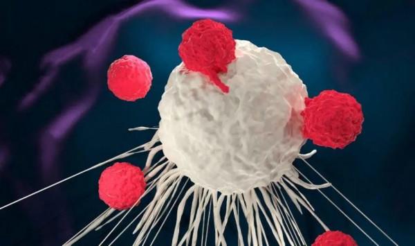 「快訊」MSK斯隆出現CAR-T療法臨床試驗死亡病例，FDA已介入調查