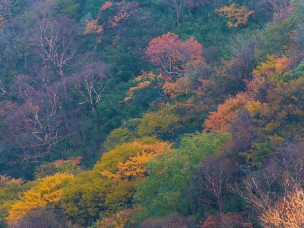 人生就是一次遇見,我在雲悅溪等你 人生就是一次遇見,我在雲悅溪等你