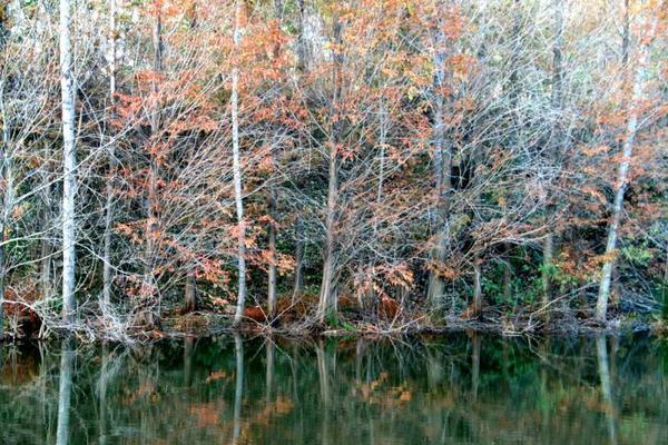 這個季節不要錯過 河南泌陽白雲山迎來顏值巔峰
