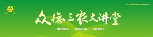 「農產品行情早報」：大姜、蘋果、大蒜、花生、土豆行情