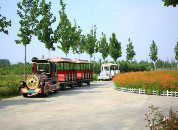 保定市神農冬採摘線路一日遊