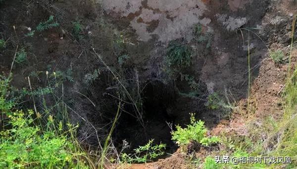 盜墓者在深山老林發現貴族大墓，墓主僅14歲，壁上一行字暴露身份