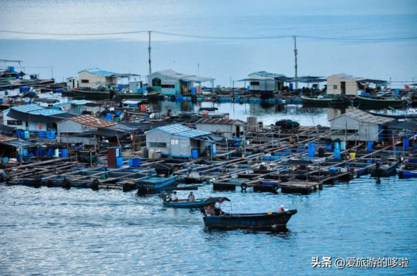 9分神片迴歸!中國人有多會吃海鮮?第一集就讓人邊流口水邊流淚 9分神片迴歸!中國人有多會吃海鮮?第一集就讓人邊流口水邊流淚