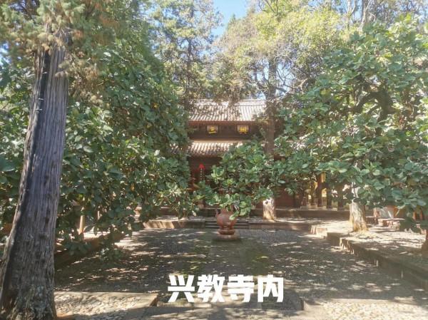 雲南茶馬古鎮 雲南茶馬古鎮