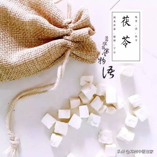 藥性歌括四百味、茯苓(白茯苓、赤茯苓) 藥性歌括四百味、茯苓(白茯苓、赤茯苓)