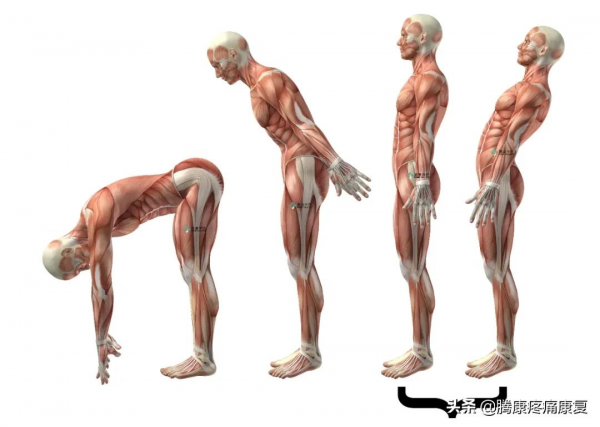 後仰腰痛的分析① 後仰腰痛的分析①