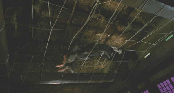 網友忍不住讚歎，當年的女明星，真是各有各的美