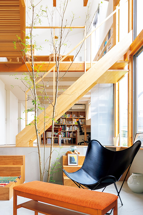 在家內外都能感受綠意的房子