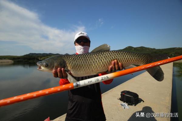 成為打工人的第365天，我連夜逃走去釣魚