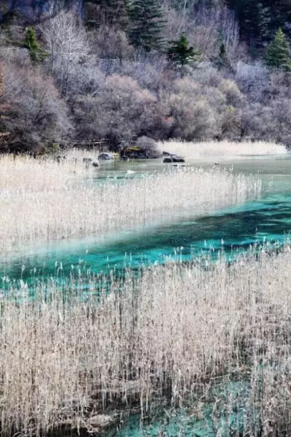 旅行，遇見更好的自己！2022年的第一場旅行，你會去哪裡？