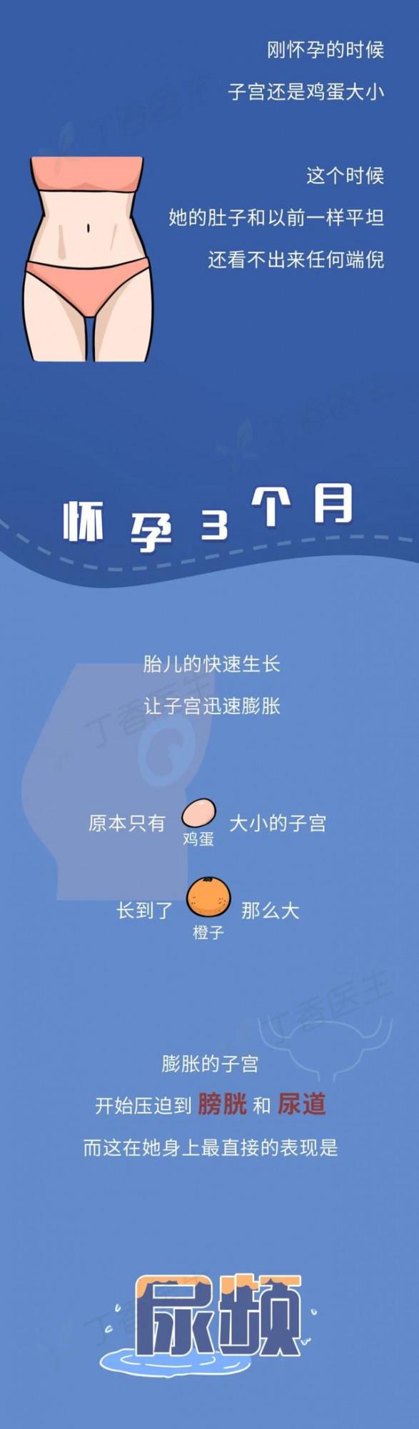 漫畫科普：長圖看懂懷孕全程，感受生命的神奇與母愛的偉大