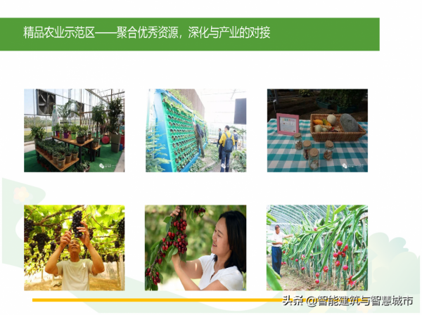 休閒農業觀光旅遊專案解決方案