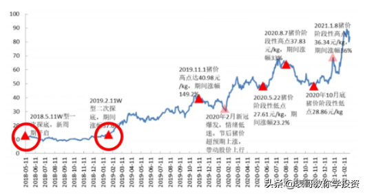 穿越“豬週期”,大消費崛起,豬企誰能殺出重圍? 穿越“豬週期”,大消費崛起,豬企誰能殺出重圍?