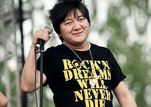 靠一首歌“混飯吃”的歌手都有誰？