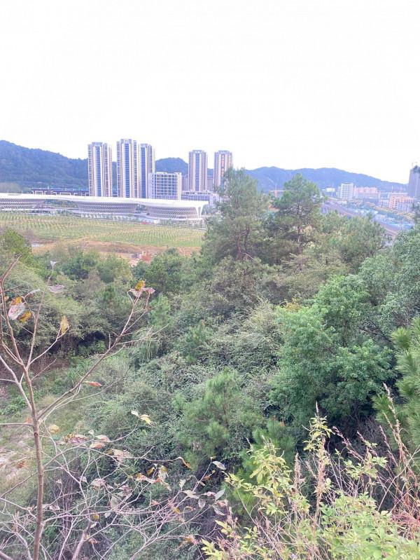 一個人爬山 一個人爬山