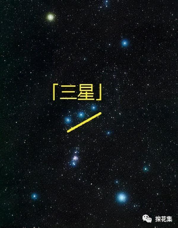 泉林探花︱劉說壓勝錢（七）地支文錢的濫觴