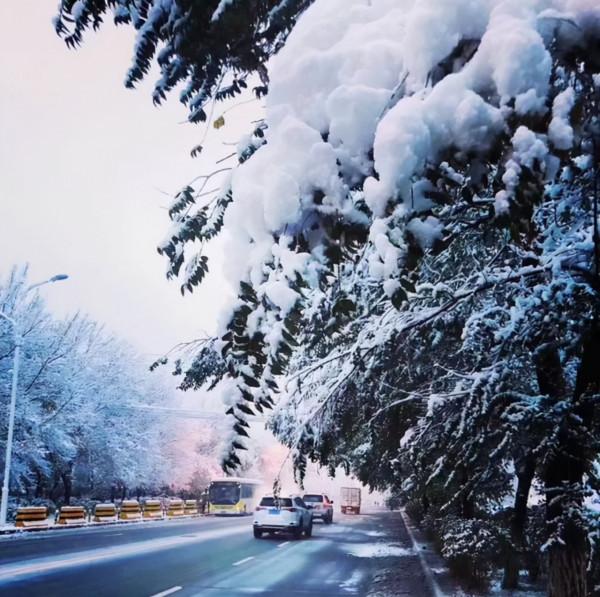 入冬後3種食物要多吃！應季而食，提高免疫力