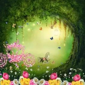 鳥的世界 鳥的天堂