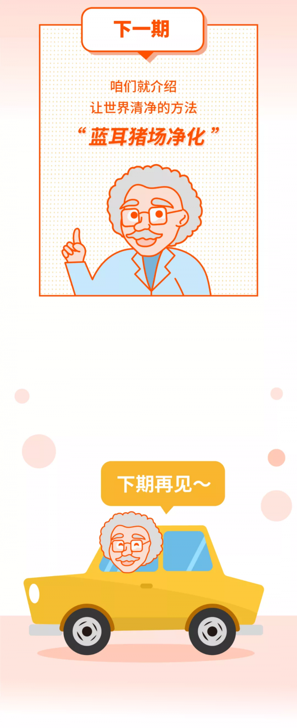 全國多地豬價飄紅！豬場千萬要穩住！別浪