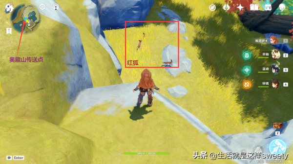 原神四方之網可捕捉小動物位置彙總一覽