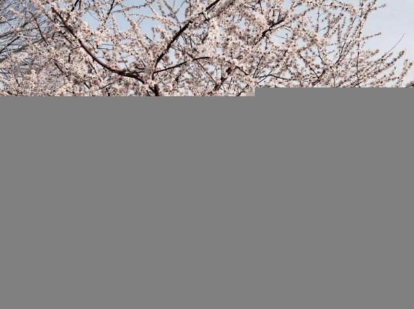 甘肅周邊都有哪些鮮為人知的好玩去處