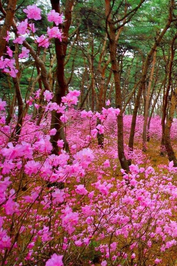 世界很大，風景很美，而你卻不是那個想走就走的人