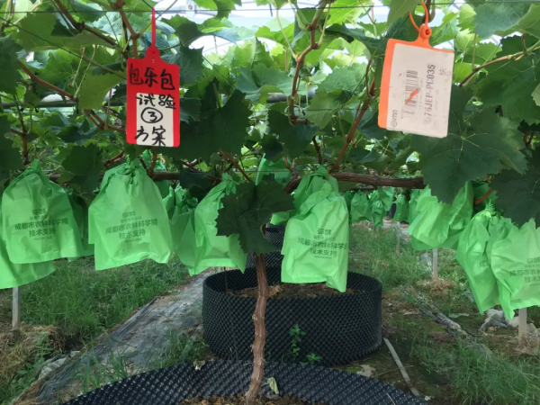 央行全面降準0.5%,對農業來說意味著什麼 央行全面降準0.5%,對農業來說意味著什麼