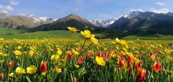 新疆就該這麼玩——北疆篇（北疆攻略，有這一篇就夠了）