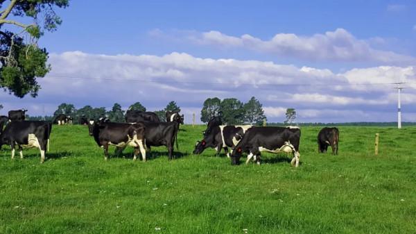 10年深度+豪華遊玩60國