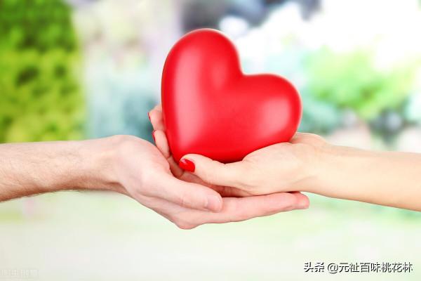 待宰的羔羊 待宰的羔羊